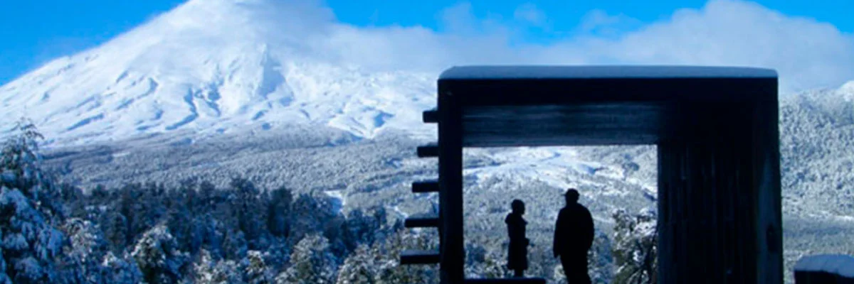 Mirador Pino Huacho